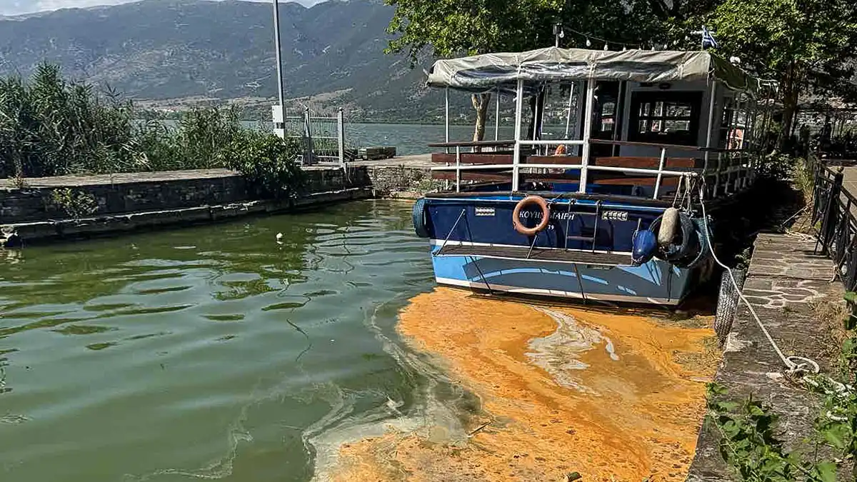 Η Παμβώτιδα εκπέμπει ξανά σήμα κινδύνου – Δυσοσμία, φυτοπλαγκτόν και αφρός σε σημεία της λίμνης (video)