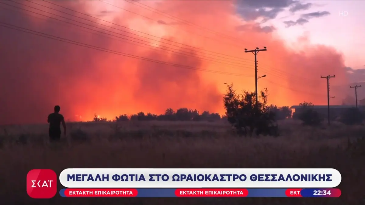 Πολιτική Προστασία: Κρίσιμα τα καθαρά οικόπεδα στις φωτιές κοντά σε σπίτια – Μεγάλη φωτιά στο Ωραιόκαστρο Θεσσαλονίκης