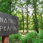 Δήμος Μετσόβου: Αυξημένη προσοχή και αποφυγή κάθε δραστηριότητας που μπορεί να προκαλέσει φωτιά