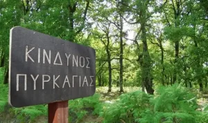Υψηλός κίνδυνος πυρκαγιάς σήμερα στην Ήπειρο – Σε επιφυλακή τα Ιωάννινα