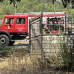 Πυρκαγιά σε χορτολιβαδική έκταση στο Θεσπρωτικό Φιλιππιάδας