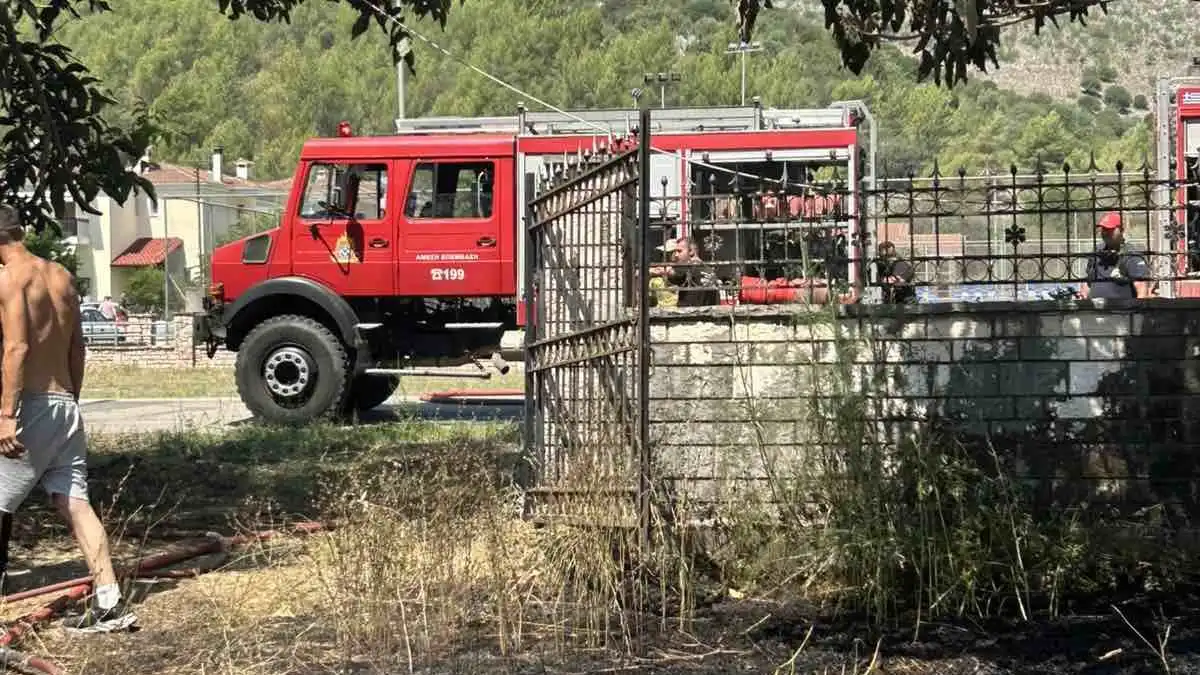 Πυρκαγιά σε χορτολιβαδική έκταση στο Θεσπρωτικό Φιλιππιάδας