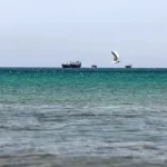 Ρεκόρ ζέστης στην επιφάνεια των ωκεανών τον Ιούνιο