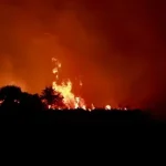 Πυρκαγιά στη Φροσύνη Θεσπρωτίας