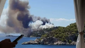 ΣΥΡΙΖΑ για Σαλαμίνα: Στο στόχαστρο η κυβέρνηση μετά τη φονική πυρκαγιά