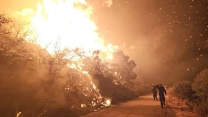 ΠΑΣΟΚ Πρέβεζας: «Έναν χρόνο μετά την πυρκαγιά οι πληγές στον Δήμο Ζηρού παραμένουν ανοιχτές»