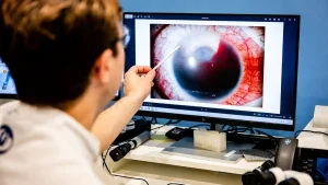 Υγεία: Η ζέστη και η υψηλή υγρασία συνδέονται με περισσότερα περιστατικά αποκόλλησης αμφιβληστροειδούς