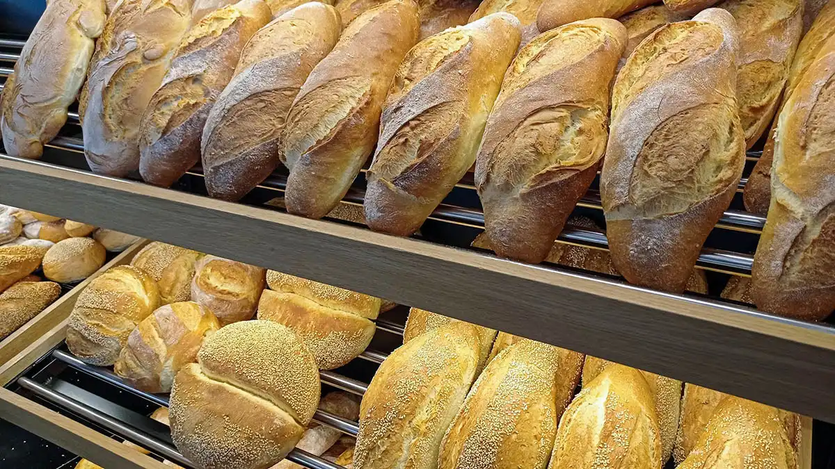 Ιωάννινα: Θέση εργασίας για αρτεργάτη στο PANARTION στην Ανατολή