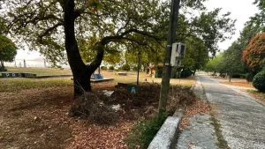 Ιωάννινα: Φεύγουν οι παρέες, μένουν τα σκουπίδια στο Θεατράκι της Σκάλας