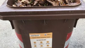 Ελλάδα: Πετάμε 2 εκατ. τόνους τροφίμων ενώ το 12,7% αντιμετωπίζει επισιτιστική ανασφάλεια