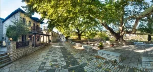 Ζαγόρι: Τριήμερο δράσεων για τα αιωνόβια δέντρα σε Αρίστη, Κάτω Πεδινά και Τσεπέλοβο