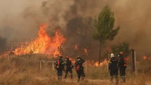 Βοιωτία: Τέσσερα κακουργήματα για τους δύο κατηγορουμένους μετά τη μεγάλη πυρκαγιά (video)