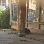 Ιωάννινα: Σπασμένα τζάμια, δυσοσμία και φόβοι για πυρκαγιά στα παλιά ΚΤΕΛ – Τι αναφέρει καταγγελία πολίτη