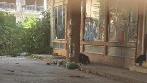 Ιωάννινα: Σπασμένα τζάμια, δυσοσμία και φόβοι για πυρκαγιά στα παλιά ΚΤΕΛ – Τι αναφέρει καταγγελία πολίτη