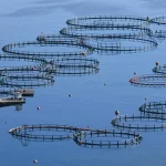 Υδατοκαλλιέργειες: Το 82% της παραγωγής πηγαίνει στο εξωτερικό