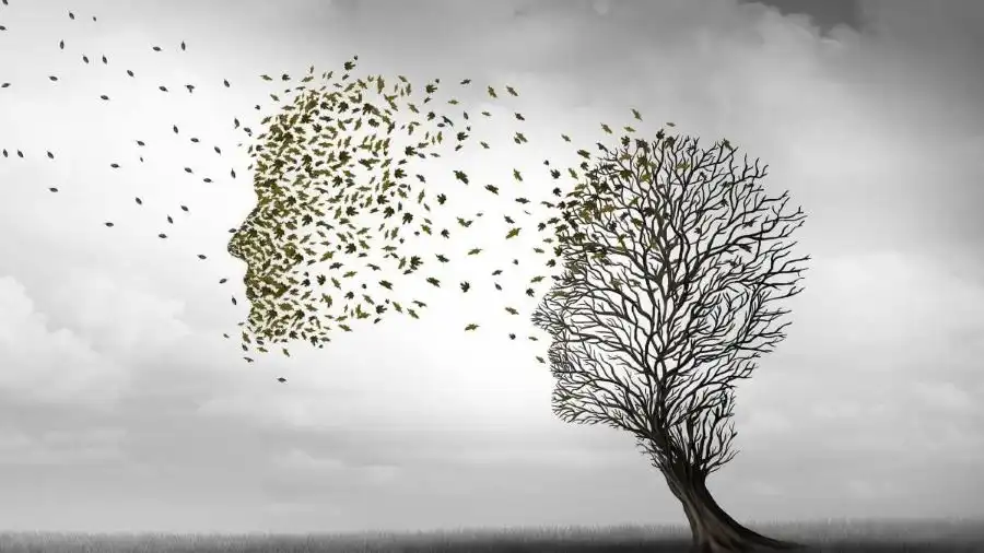 Κάλεσμα του Συλλόγου Alzheimer Ιωαννίνων – «Να μη μένει κανείς μόνος απέναντι στην άνοια»