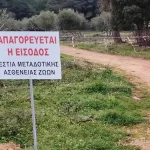 Η Περιφέρεια Ηπείρου ζητά επανεξέταση της εθνικής στρατηγικής για την ευλογιά των αιγοπροβάτων – Στο επίκεντρο πλέον ο εμβολιασμός