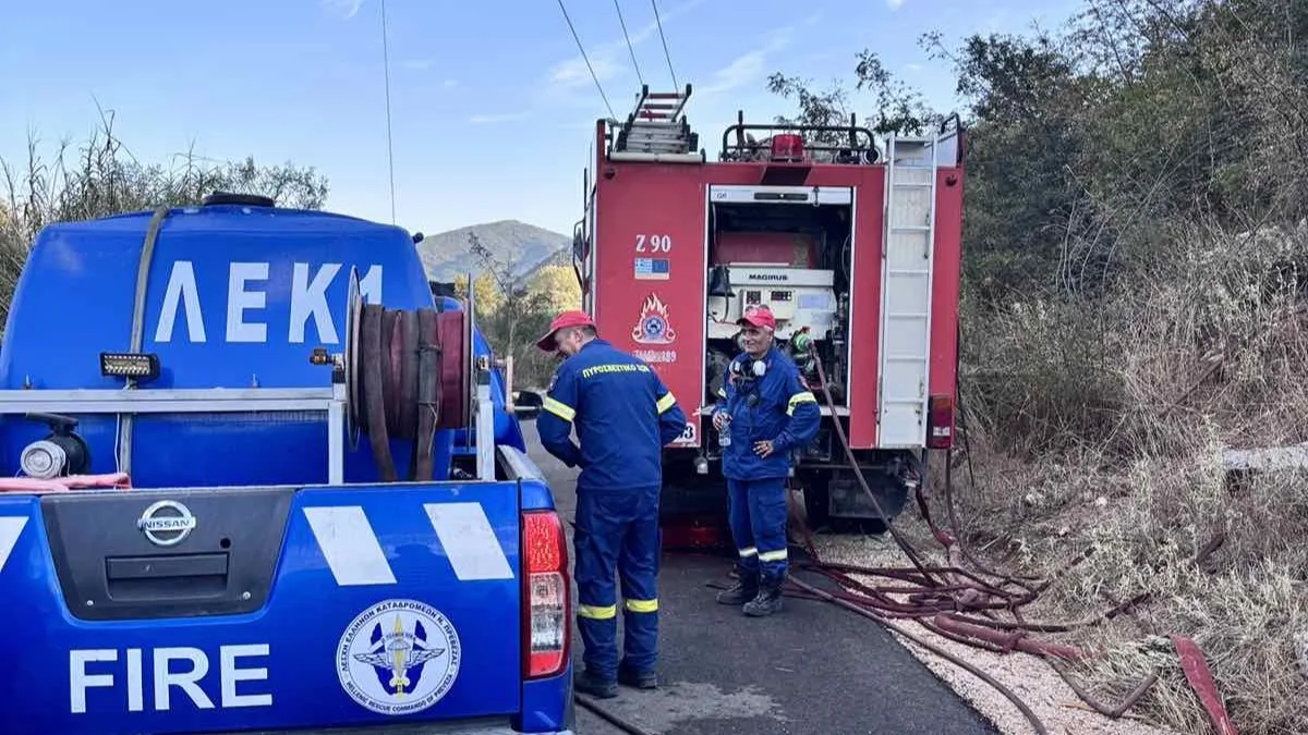 Δήμος Ζηρού για τη φωτιά στο Θεσπρωτικό: «Καθοριστική η συνεργασία όλων»