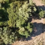Ηγουμενίτσα: Σήμερα η κηδεία της 25χρονης Πηνελόπης – Τι έδειξε η ιατροδικαστική εξέταση