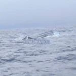 Θρίλερ στο Ιόνιο – Ανατροπή ταχύπλοου 12 ναυτικά μίλια από την Κεφαλονιά, αγνοείται 45χρονος