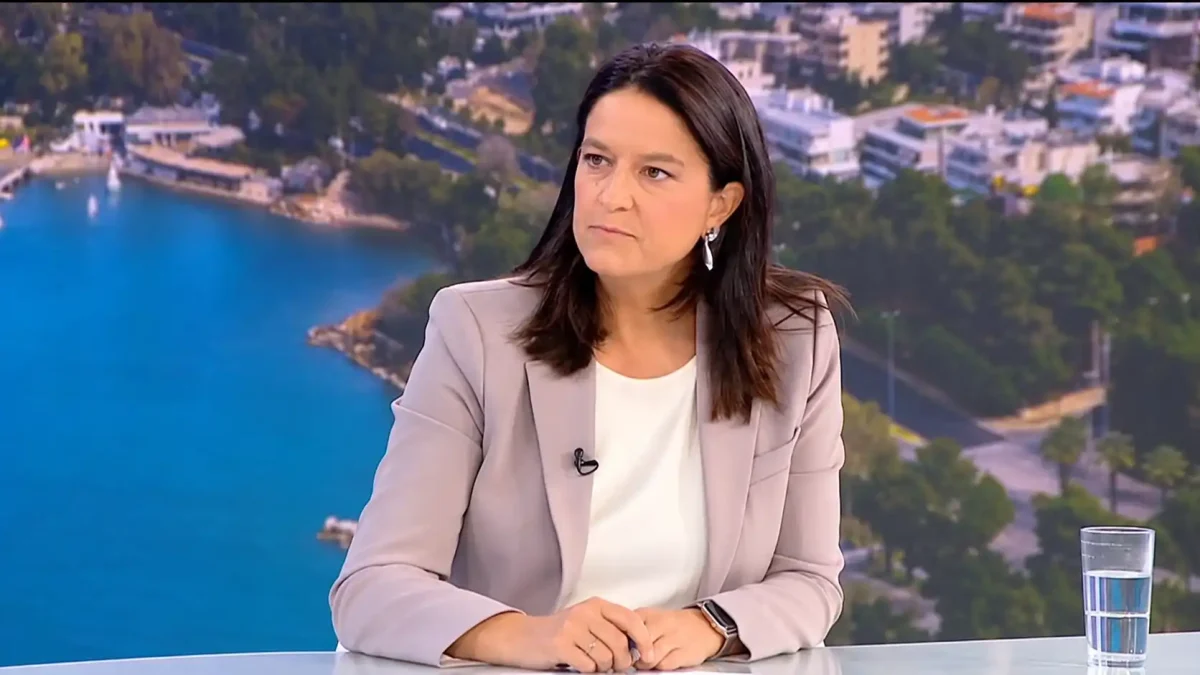Νέο πρόγραμμα για τηλεργασία σε ορεινές και απομακρυσμένες περιοχές – Επιδότηση 90% για έναν χρόνο (βίντεο)