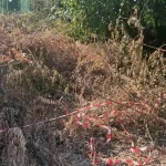 Ιωάννινα: Φθορές, σκουπίδια και κλαδέματα σε σημεία της πόλης
