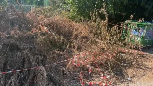 Ιωάννινα: Φθορές, σκουπίδια και κλαδέματα σε σημεία της πόλης