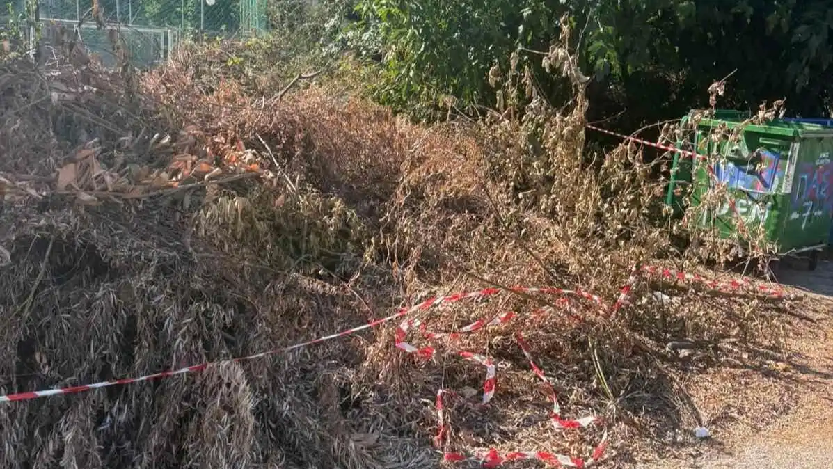 Ιωάννινα: Φθορές, σκουπίδια και κλαδέματα σε σημεία της πόλης
