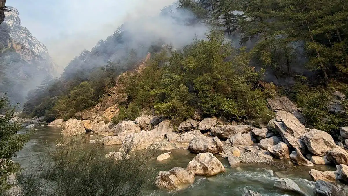Κόνιτσα: Στο μέτωπο της μεγάλης φωτιάς ο Ιωάννης Τσίμαρης – «Θαυμασμός και ευγνωμοσύνη σε όσους δίνουν τη μάχη»