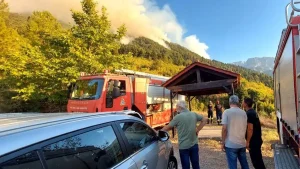 Κόνιτσα: Κριτική του ΚΚΕ για τη φωτιά – «Υπήρξε επανάπαυση, το δάσος έμεινε ακαθάριστο»