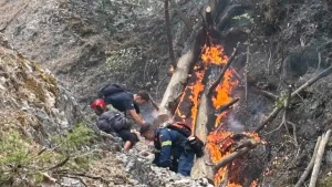 Τραπεζίτσα: Όλοι μαζί έδωσαν τη μάχη – Η χθεσινή βροχή σύμμαχος στον δύσκολο αγώνα των 11 ημερών