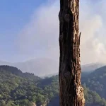 Κόνιτσα: Δεύτερη εβδομάδα μάχης με τη φωτιά στην Τραπεζίτσα