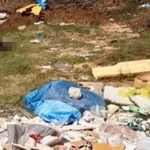 Άνω Λαψίστα: Νεκρό αγριογούρουνο δίπλα στα σπίτια «ξεσκεπάζει» το πρόβλημα με τις ανεξέλεγκτες χωματερές