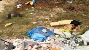 Άνω Λαψίστα: Νεκρό αγριογούρουνο δίπλα στα σπίτια «ξεσκεπάζει» το πρόβλημα με τις ανεξέλεγκτες χωματερές