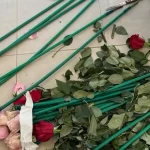 Αττική: Κοκαΐνη κρυμμένη σε τριαντάφυλλα από την Κολομβία – Έξι συλλήψεις