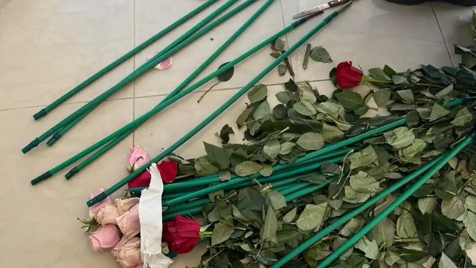 Αττική: Κοκαΐνη κρυμμένη σε τριαντάφυλλα από την Κολομβία – Έξι συλλήψεις