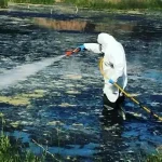 Ιός Δυτικού Νείλου: 58 κρούσματα την τελευταία εβδομάδα – Σε ποιες περιοχές έχουν εμφανιστεί