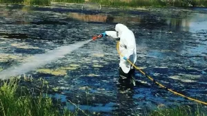 Ιός Δυτικού Νείλου: 58 κρούσματα την τελευταία εβδομάδα – Σε ποιες περιοχές έχουν εμφανιστεί