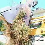Συνεχίζεται η απομάκρυνση ογκωδών αντικειμένων από δρόμους των Ιωαννίνων