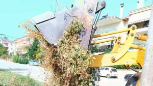 Συνεχίζεται η απομάκρυνση ογκωδών αντικειμένων από δρόμους των Ιωαννίνων