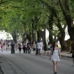 Ιωάννινα: Χωρίς αυτοκίνητα ο παραλίμνιος τις Κυριακές του Σεπτεμβρίου