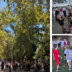 Ένα μεγάλο πάρκο έγινε η παραλίμνιος στο πλαίσιο του 8ου Πικνίκ του Δήμου Ιωαννιτών
