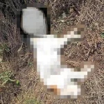 Ιωάννινα: Έκτακτη προειδοποίηση για δηλητηριασμένα δολώματα στην ευρύτερη περιοχή Μπιζανίου