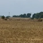 Θεσσαλία: Κίνδυνος ερημοποίησης από την εξάντληση των υδατικών αποθεμάτων