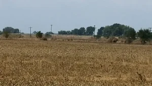 Θεσσαλία: Κίνδυνος ερημοποίησης από την εξάντληση των υδατικών αποθεμάτων
