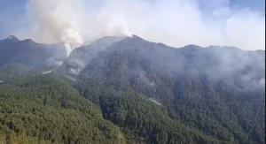 Κόνιτσα: Καλύτερη η εικόνα της φωτιάς – Παραμένει χωρίς έλεγχο στο πυκνό δάσος (βίντεο)
