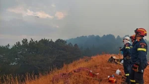 Τραπεζίτσα: Εθελοντικός καθαρισμός μετά την πυρκαγιά – Το κάλεσμα του ΕΟΣ Κόνιτσας
