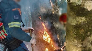 Κατάσβεση μεμονωμένων εστιών στις δυσπρόσιτες πλαγιές της Τραπεζίτσας με τους πυροσβέστες της 5ης ΕΜΟΔΕ