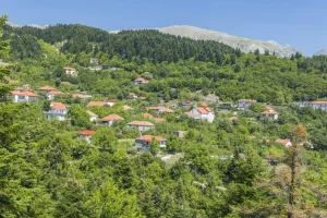 Άρτα: Απάντηση τεσσάρων περιφερειακών συμβούλων της πλειοψηφίας στον Άλκη Παπαχρηστάκη για τον δρόμο Θεοδώριανα – Αθαμάνιο
