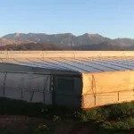 Ήπειρος: 22 επενδυτικά σχέδια ύψους 14,15 εκατ. ευρώ για θερμοκήπια